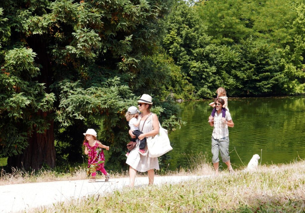 Beautiful forestscape on a lake in Idaho.