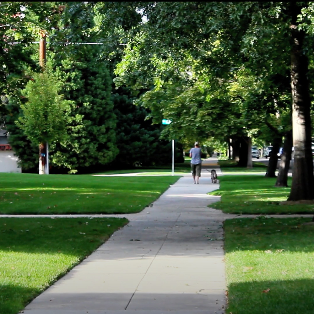 Boise Northend man walking a dog